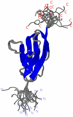 Image NMR Structure - all models