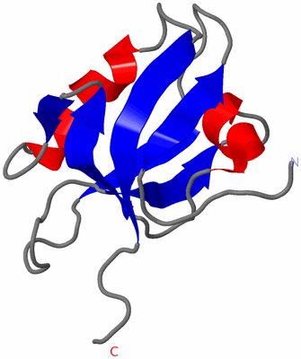 Image NMR Structure - model 1