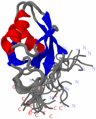 Image NMR Structure - all models