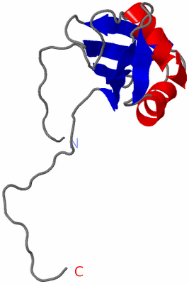 Image NMR Structure - model 1