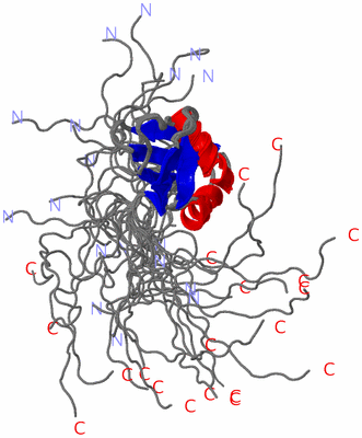 Image NMR Structure - all models