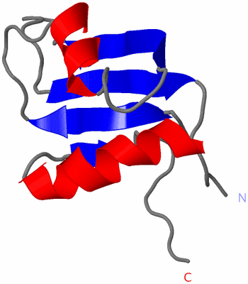 Image NMR Structure - model 1