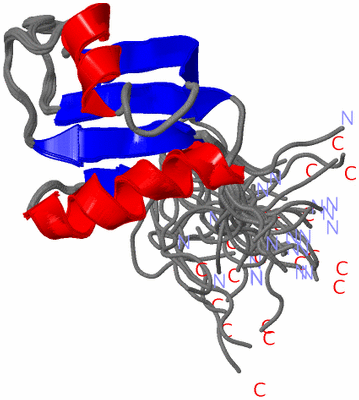 Image NMR Structure - all models