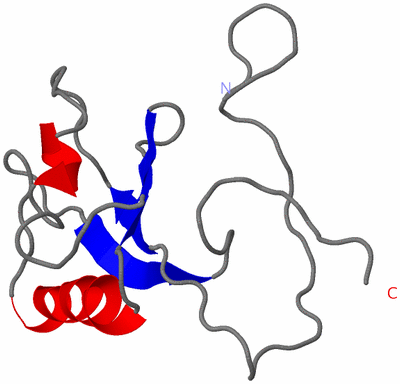 Image NMR Structure - model 1