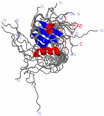 Image NMR Structure - all models