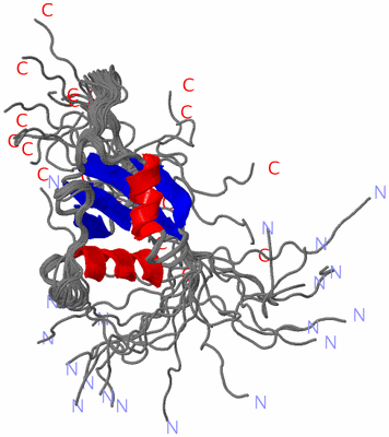 Image NMR Structure - all models