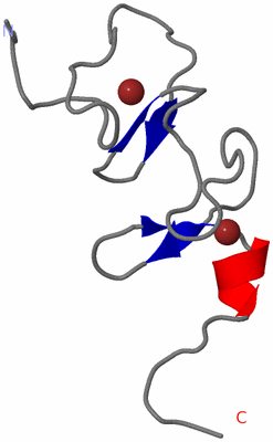 Image NMR Structure - model 1