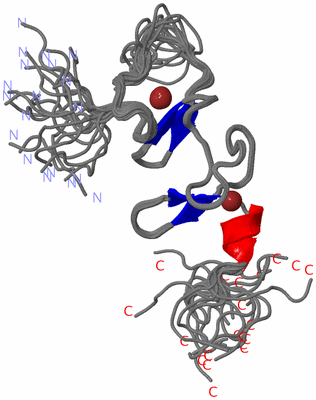 Image NMR Structure - all models