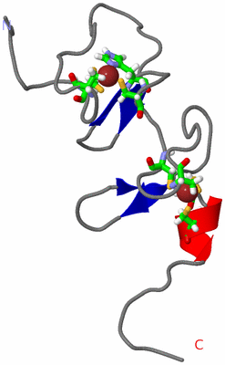 Image NMR Structure - model 1, sites