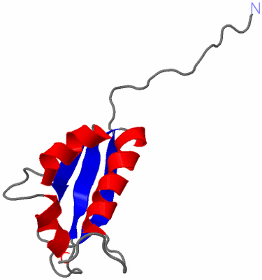 Image NMR Structure - model 1