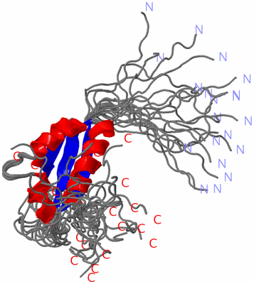 Image NMR Structure - all models