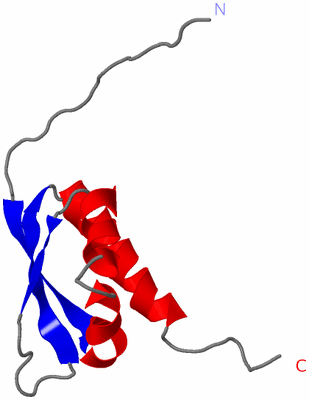 Image NMR Structure - model 1