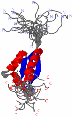 Image NMR Structure - all models