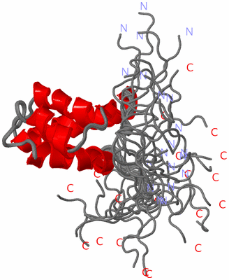 Image NMR Structure - all models