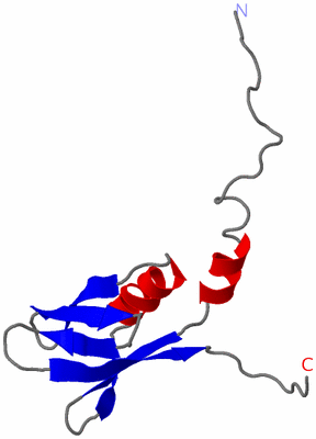 Image NMR Structure - model 1