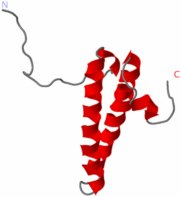 Image NMR Structure - model 1