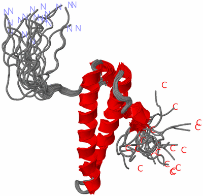 Image NMR Structure - all models
