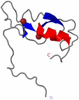 Image NMR Structure - model 1