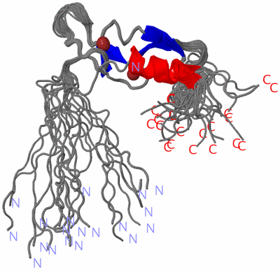 Image NMR Structure - all models