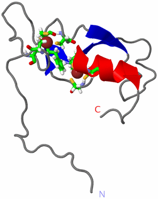 Image NMR Structure - model 1, sites