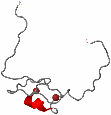 Image NMR Structure - model 1