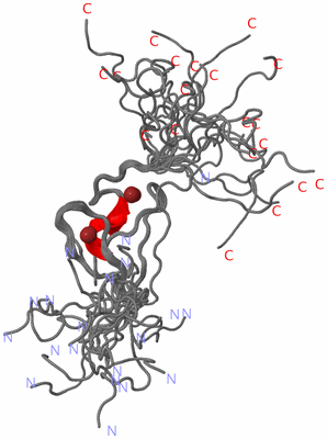 Image NMR Structure - all models