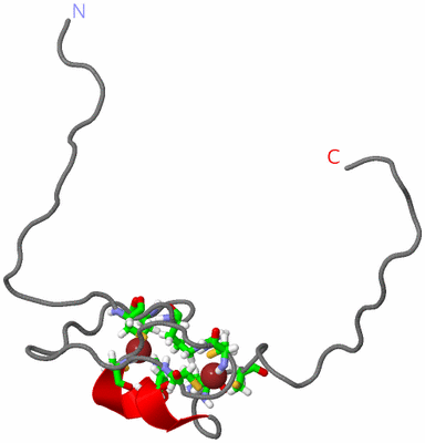 Image NMR Structure - model 1, sites