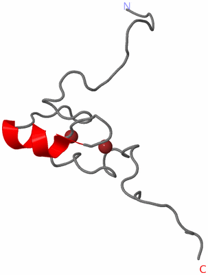 Image NMR Structure - model 1