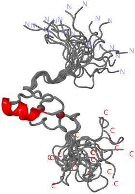 Image NMR Structure - all models