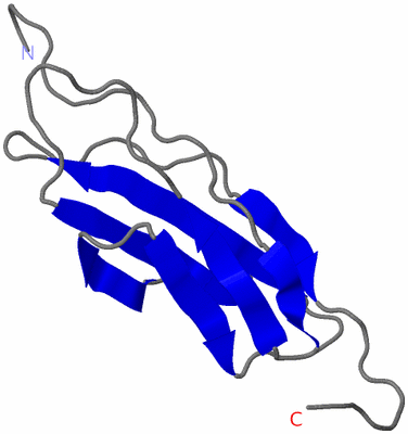 Image NMR Structure - model 1