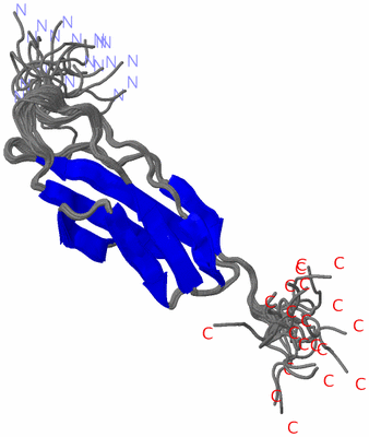 Image NMR Structure - all models