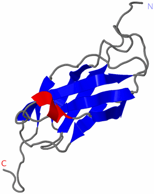 Image NMR Structure - model 1