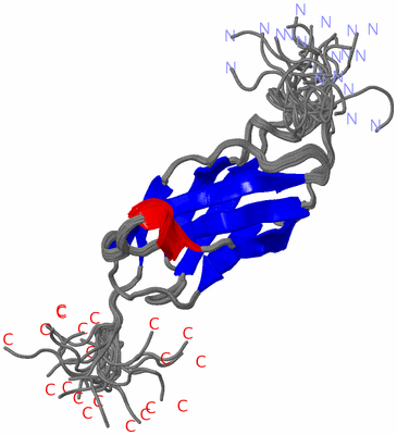 Image NMR Structure - all models