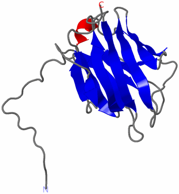 Image NMR Structure - model 1