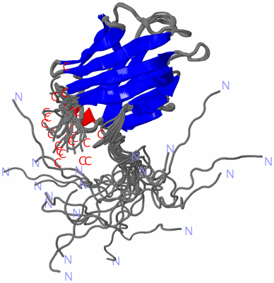 Image NMR Structure - all models