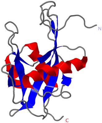 Image NMR Structure - model 1