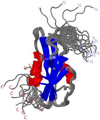 Image NMR Structure - all models