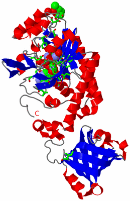 Image Asym. Unit - sites