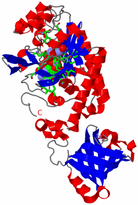 Image Asym. Unit - sites