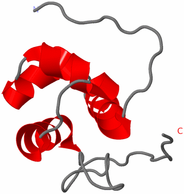 Image NMR Structure - model 1