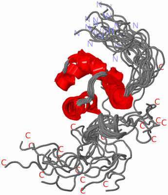 Image NMR Structure - all models