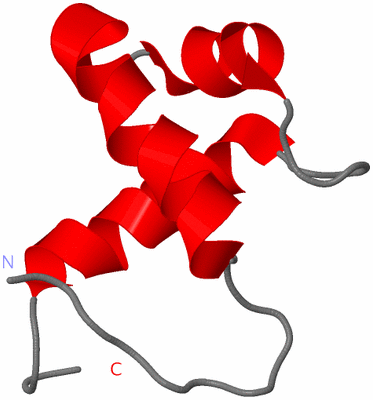 Image NMR Structure - model 1