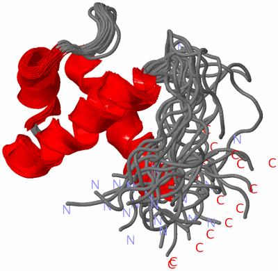 Image NMR Structure - all models