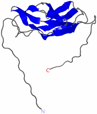 Image NMR Structure - model 1