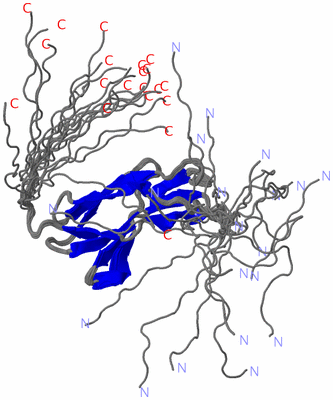 Image NMR Structure - all models