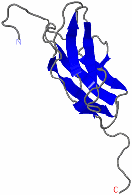 Image NMR Structure - model 1