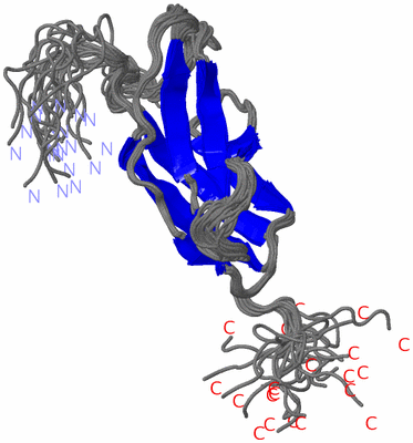 Image NMR Structure - all models