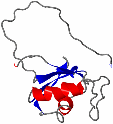 Image NMR Structure - model 1