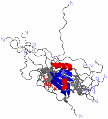 Image NMR Structure - all models