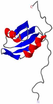 Image NMR Structure - model 1